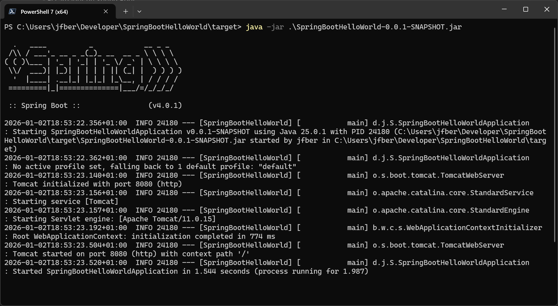 Aplicación en ejecución tras lanzar el jar