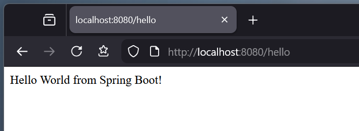 Probando la aplicación en el navegador